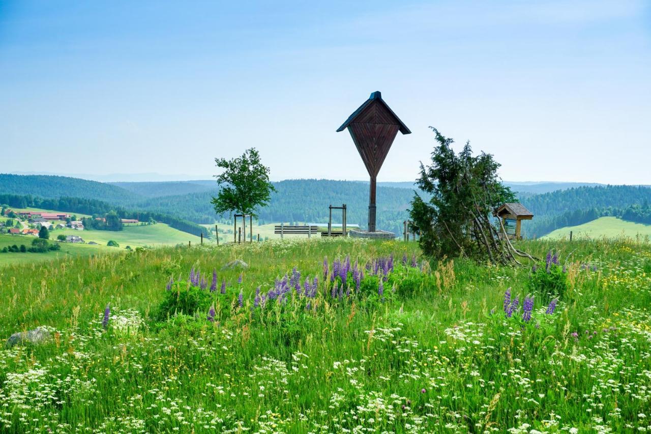 Hubertus Lodge Ibach 外观 照片